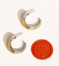 Silver/Gold Hoop Earrings