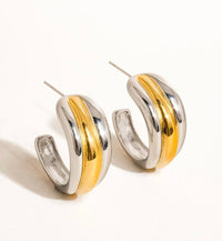 Silver/Gold Hoop Earrings